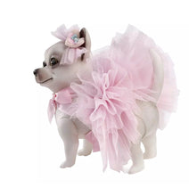 Load image into Gallery viewer, Rita Baby Chi Dog
